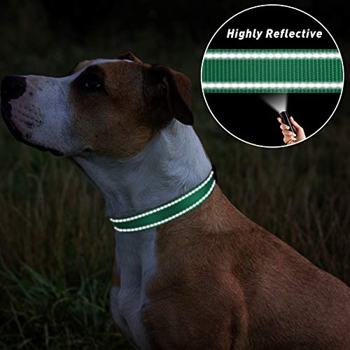 TagME Collar Perro Ajustable,Collar Nylon Reflectante,para Caminar Correr Entrenamiento,para Perros Grandes,Turquesa,2.5cm De Ancho