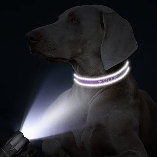 TagME Personalizado Mediano Collar Perro, Bordado Nombre y Número De Teléfono Reflectante Collar Perros, Morado M