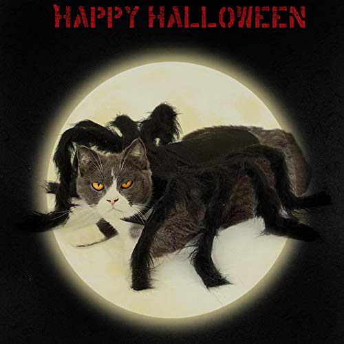 TAKEFUNS Disfraz de Tarántula de Halloween, disfraz de perro araña, patas artificiales de araña, ropa de fiesta de Halloween, ropa de carnaval, trajes de cosplay cálidos para gatos, talla M