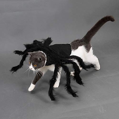 TAKEFUNS Disfraz de Tarántula de Halloween, disfraz de perro araña, patas artificiales de araña, ropa de fiesta de Halloween, ropa de carnaval, trajes de cosplay cálidos para gatos, talla M