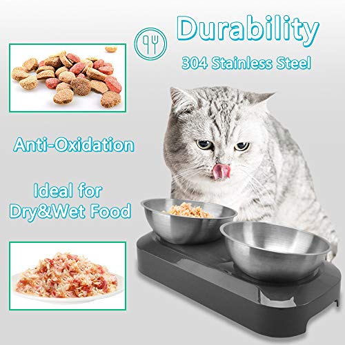 TANGN Cuencos Doble Antideslizantes de Acero Inoxidable para Gatos, Cuenco de Comida Agua 15° Inclinados para Gatos Anti Vomito Amigable con Bigotes, Apto para Lavavajillas