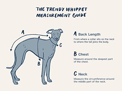 Teddy Bear Fluffy Whippet Greyhound Onesie Pijama Lurcher italiano Galgo Jumper Fur Sweater Sighthound (LARGE)