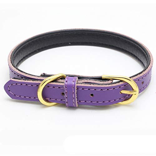 teemerryca Collar de perro mediano duradero de piel fuerte para mascotas, color morado, collares ajustables para perros de tamaño mediano de 30 a 39 cm