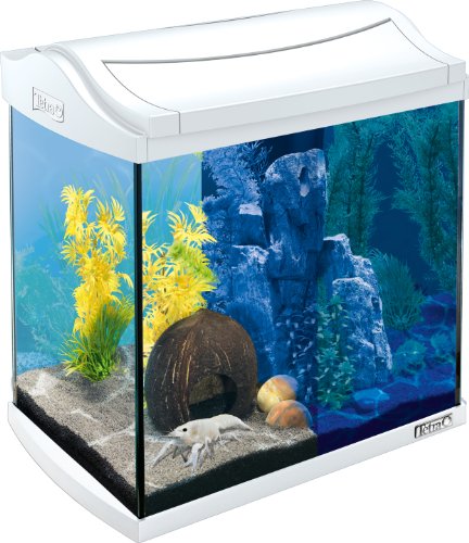 Tetra AquaArt Discovery Line Acuario 30 litros (Juego completo que incluye iluminación LED), Blanco