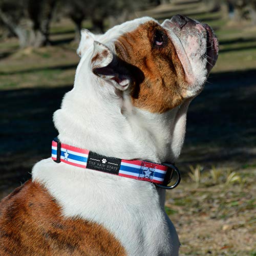 THE PAW STATE | Collar para Perro Ajustable CAPI Dog | Tallas XS, S, M y L Disponibles | Suave y Resistente | Collar de Perro Diseñado en España | Donamos el 5% a Protectoras Asociadas