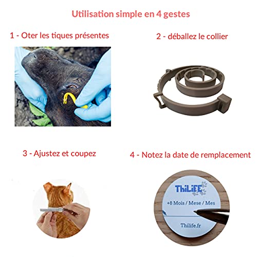 Thilife: Collar antipulgas y garrapatas Ajustable para Perros pequeños y Gatos | Antiparásitos |8 Meses de protección |2 Clips para Quitar garrapatas Gratis | Base de Aceite de citronela |Impermeable