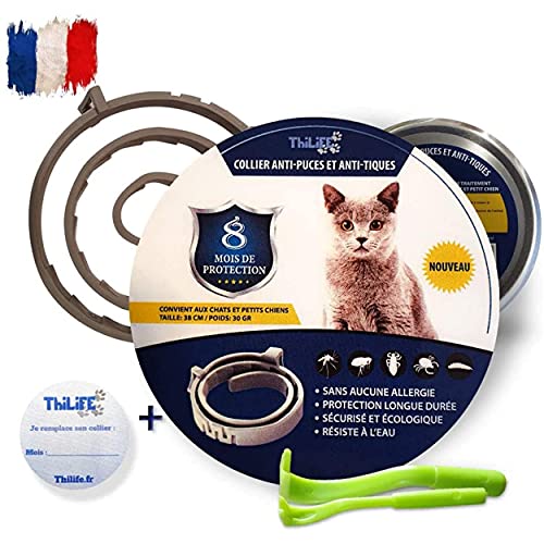 Thilife: Collar antipulgas y garrapatas Ajustable para Perros pequeños y Gatos | Antiparásitos |8 Meses de protección |2 Clips para Quitar garrapatas Gratis | Base de Aceite de citronela |Impermeable