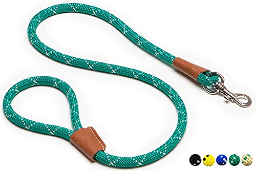 Tica, Hecha en España, Correa Resistente de 12mm en Distintos Colores. Correa para Perros (Verde)