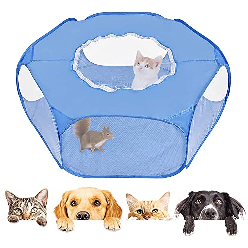 Tienda de Jaulas para Mascotas, Jaula Animal Pequeño Transparente, Animal Valla de Mascota Portátil, con Tapa Superior Anti Escape, para Gatitos Conejos Conejito Hámster Chinchillas (Azul)