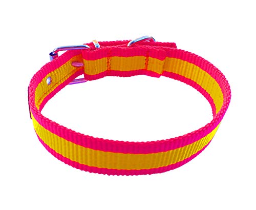 Tiendas LGP - Collar para Perros de Nylon y Cuero Bandera de España, 2,5 x 41 cm.