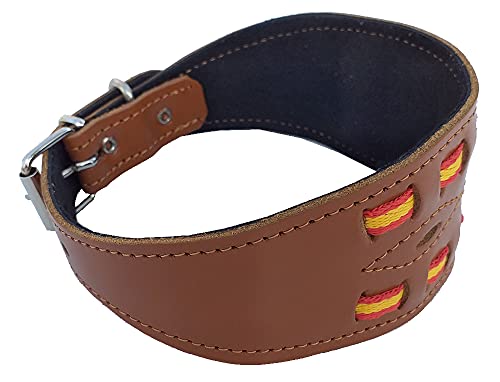 Tiendas LGP - Collar para Perros Galgos de Piel Flor con Bandera de España, Ancho, 7 x 47 cm, Color Cuero