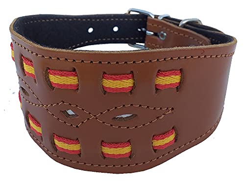 Tiendas LGP - Collar para Perros Galgos de Piel Flor con Bandera de España, Ancho, 7 x 47 cm, Color Cuero