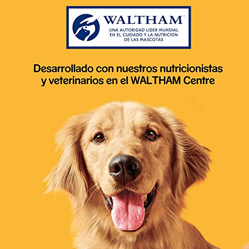 Tiras Rodeo de buey para perros para mimar 70g | [Pack de 20]