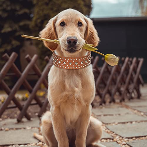 TISHITA Razas de Cuello de Cachorro de 1 Pieza, de Metal con Tachuelas para jardín Grande, Perros de Raza Grande, Perros pastores alemanes - L Marrón