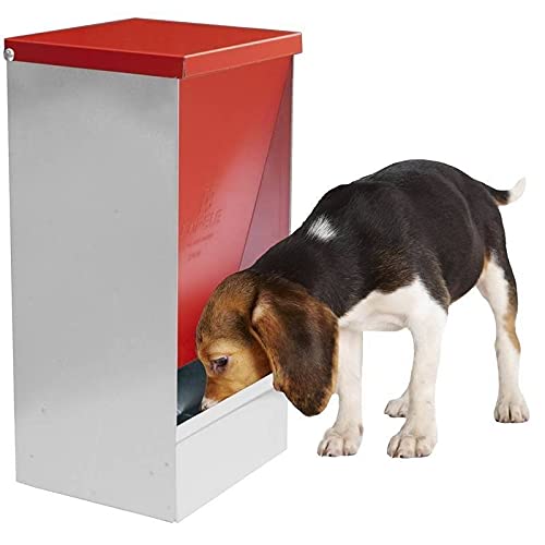 Tolva Perros Smart Pequeña 25.5 x 25.5 x 43 cm