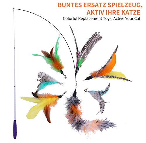 Toozey Feather Toys, juguetes para gatos con 2 piezas de varillas retráctiles interactivas para gatos y 13 piezas de reemplazo de plumas / insectos / peces con campanas