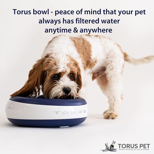 Torus Tazón De Agua para Perros Y Gatos, 2 litros De Capacidad, Azul, Azul 1100 g