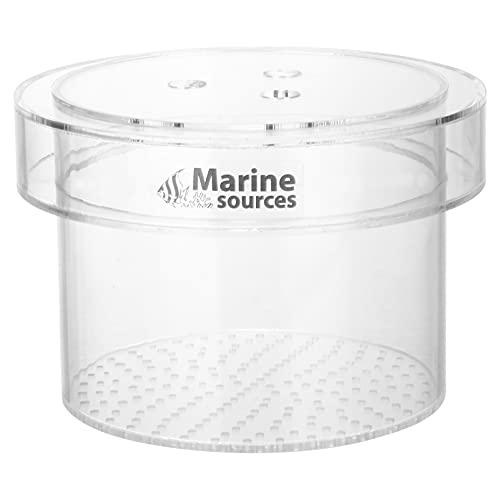 Toyvian Caja de Cría de Peces Acrílicos Caja de Aislamiento de Peces de Acuario Transparente Incubadora de Incubadora de Aclimatación Incubadora para Peces Pequeños Pez Payaso Guppy