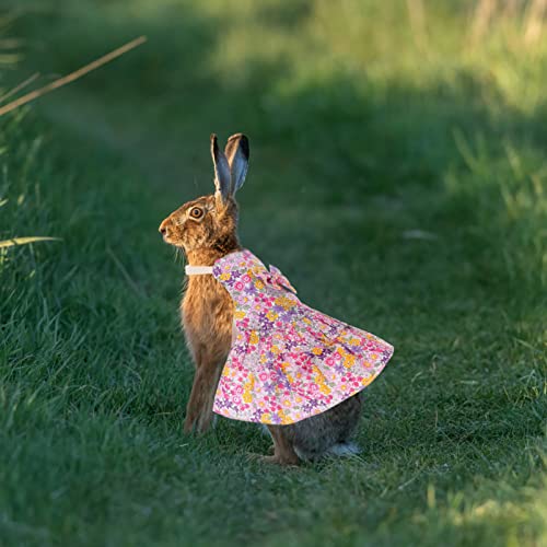 Toyvian Vestido de Conejito de Mascotas Ropa de Ropa de Mascotas Vestido de Conejo Arnés con Correa Conejo Traje Trajes para Conejo Erizo Hedge Hurret Goyea Cobays Cerdos Pudgies