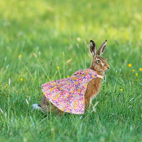 Toyvian Vestido de Conejito de Mascotas Ropa de Ropa de Mascotas Vestido de Conejo Arnés con Correa Conejo Traje Trajes para Conejo Erizo Hedge Hurret Goyea Cobays Cerdos Pudgies