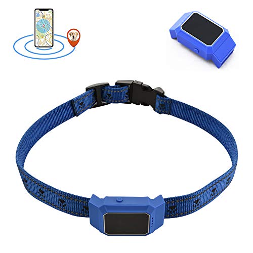 Tractive Localizador GPS para Pet con Seguimiento de Actividad, Anti Lost Tracking Localizador enTiempo Real Collar para Perros Training GPS en Tiempo Real-BLU