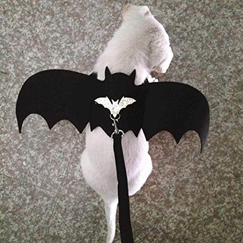 Traje Alas de murciélago Mascotas Caminar Arnés Cofre Correa arnés Vestido Elegante Disfraz Vestir Chaleco Decoración para Fiesta Festival Halloween Perro Disfraces Alas de Vampiro Batman Cosplay(M)