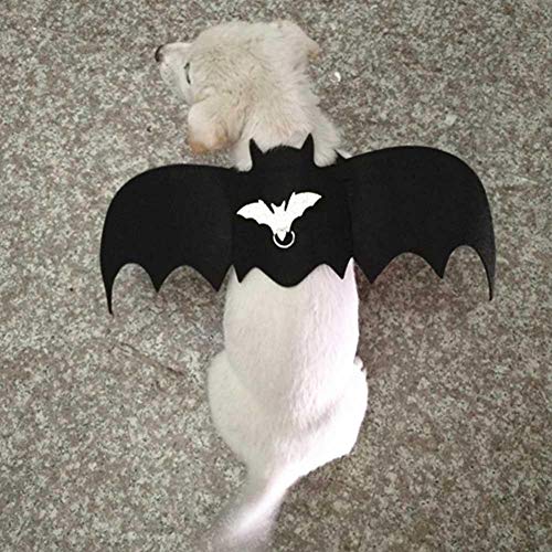 Traje Alas de murciélago Mascotas Caminar Arnés Cofre Correa arnés Vestido Elegante Disfraz Vestir Chaleco Decoración para Fiesta Festival Halloween Perro Disfraces Alas de Vampiro Batman Cosplay(M)