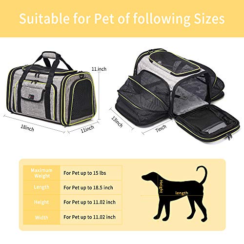 Transportin Gato HOTLANTIS Acolchado y Aceptado por las Aerolíneas, Bolso Trasportín para Perros y Gatos Portátil y Plegable para Perros Pequeños y Cachorros