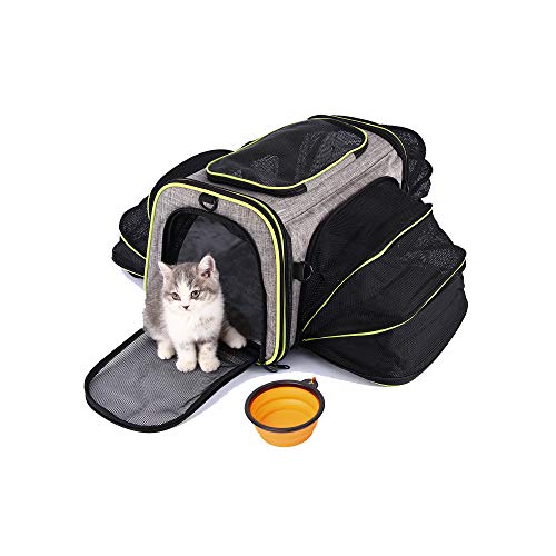 Transportin Gato HOTLANTIS Acolchado y Aceptado por las Aerolíneas, Bolso Trasportín para Perros y Gatos Portátil y Plegable para Perros Pequeños y Cachorros