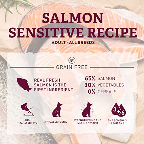 Traveness Pienso Natural Grain Free Receta de Salmón Sensitive (3 KG)