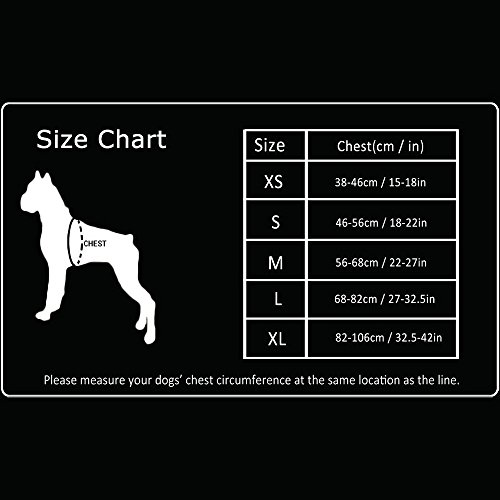 TRUE LOVE Aventura al Aire Libre del arnés del Perro II Chaleco Reflectante con 2 attachts Correa Correa y el Collar a Juego Disponible tlh6071 Amarillo de neón m: Pecho 56 6cm22 27 Pulgadas Metro ne