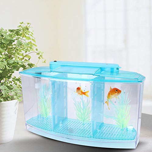 Ufolet Pecera de Aislamiento, Mini pecera de cría Pecera pequeña Pecera de Aislamiento, Alta transmitancia Tamaño Grande para Peces pequeños Peces bebés Camarones Pez Payaso Guppy(Blue)