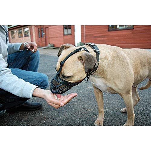 Ultra Bozal Cesta para perro ideal para correr y protección contra cebo venenoso, color negro