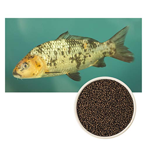 Ultra Koi – Alimento premium flotante para peces Kois y estanque – Alimento completo para peces Koi alimento para peces Koi, para peces y peces de acuario – granulado para todo el año (4,5 mm, 5 kg)