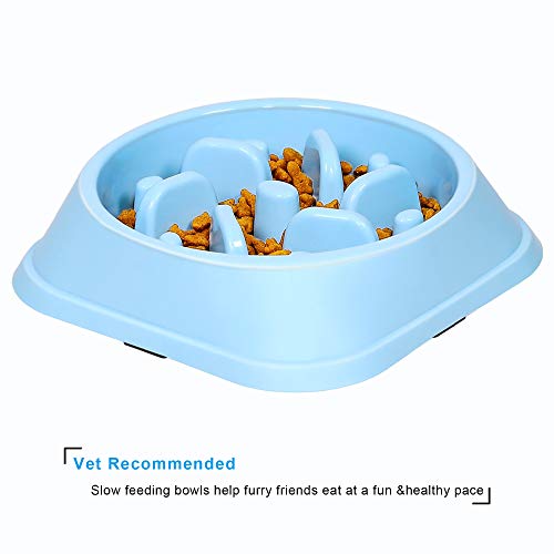 UPSKY Slow Feeder Cuencos para perros pequeños Antideslizante Puzzle Bowl Fun Feeder Interactive Bloat Stop Dog Bowl Anti-asfixia Dog Bowl con macarrones brillantes... (rosa)