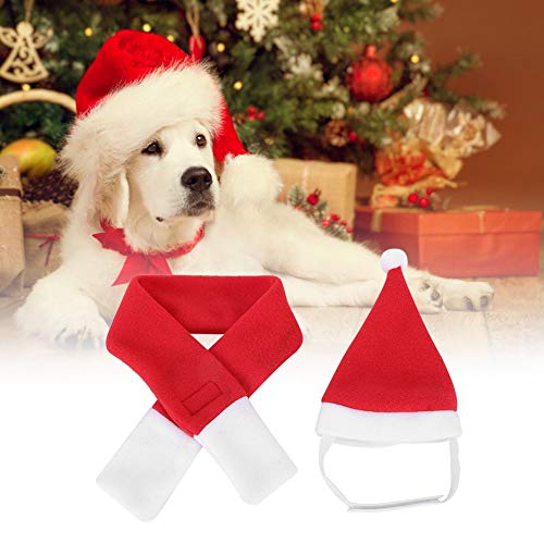 【Venta del día de la Madre】 Gorro de Papá Noel para Mascotas de cumpleaños, Sombreros para Mascotas, Gorro de Papá Noel para Cachorro para Perro Mascota(M)