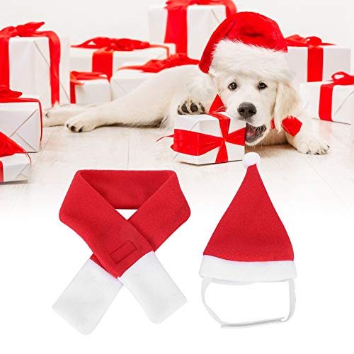 【Venta del día de la Madre】 Gorro de Papá Noel para Mascotas de cumpleaños, Sombreros para Mascotas, Gorro de Papá Noel para Cachorro para Perro Mascota(M)