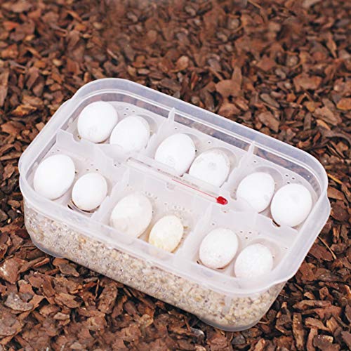 Venta Loca Caja de cría de Reptiles, Caja de cría de Reptiles Duradera para Serpientes, para incubar Lagarto Gecko Otros Reptiles