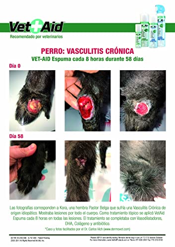 VetAid Espuma cicatrizante y desinfectante para curación de heridas en Perros, Gatos y Todo Tipo de Animales. 60 ml