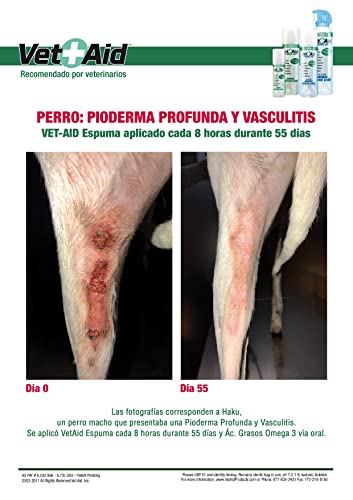 VetAid Espuma cicatrizante y desinfectante para curación de heridas en Perros, Gatos y Todo Tipo de Animales. 60 ml