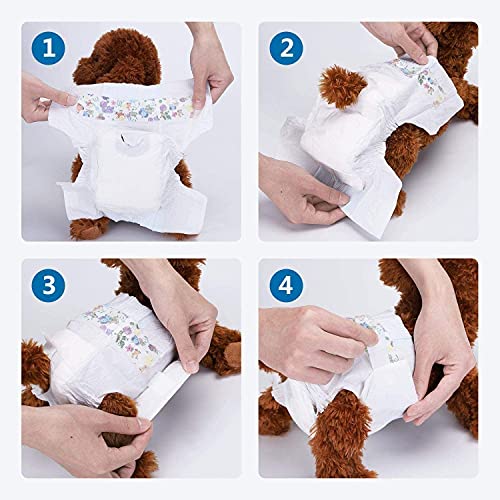 Vidoelettronica® Pañales para perros de Estados Unidos y de EEUU para entrenamiento para cachorros para hembras absorbentes para animales domésticos, paquete de 10 unidades, talla M 43 x 29 cm