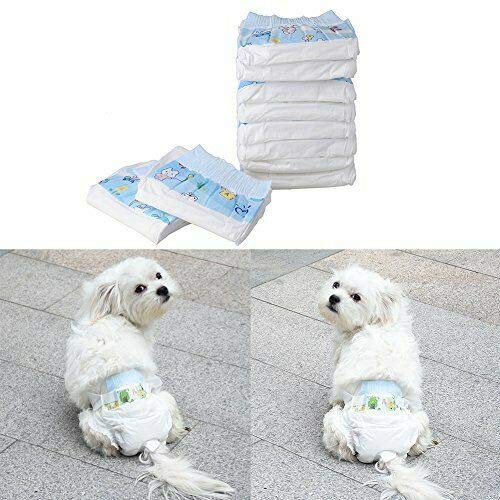 Vidoelettronica® Pañales para perros de Estados Unidos y de EEUU para entrenamiento para cachorros para hembras absorbentes para animales domésticos, paquete de 10 unidades, talla M 43 x 29 cm