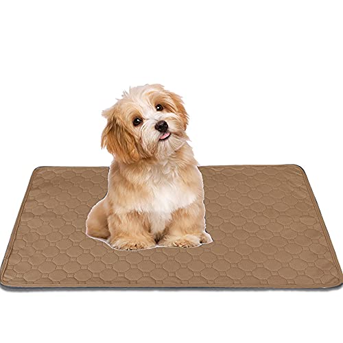 Vinnykud Almohadilla de Orina para Mascotas Perro Gato lmohadillas de Entrenamiento Alfombra Impermeable lmohadillas Lavables para Entrenamiento De Perros