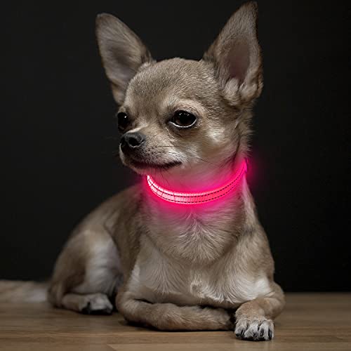 Visinite Collar Luminoso Perro, Collar Luz Perro para La Oscuridad, Nightcollares Luminosos para Perros Recargable a Prueba de Agua, Glow In The Dark Dog Light Up Collar para Caminar,Rosa,S