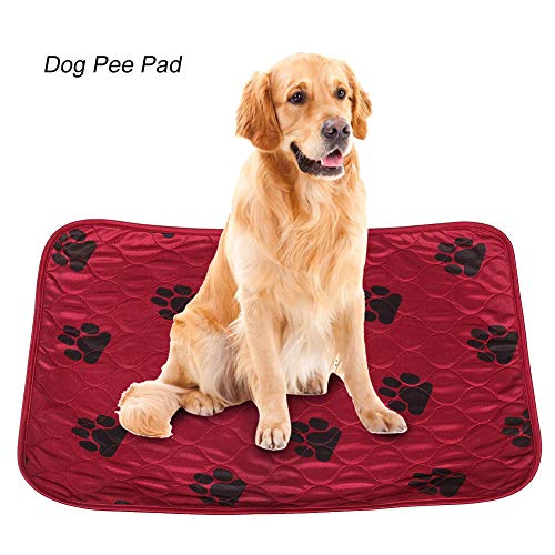 Wacent Almohadilla Absorbente Reutilizable para Mascotas(40 * 60cm-Rojo)