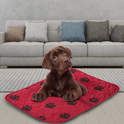 Wacent Almohadilla Absorbente Reutilizable para Mascotas(40 * 60cm-Rojo)