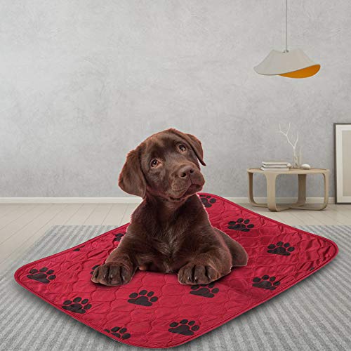 Wacent Almohadilla Absorbente Reutilizable para Mascotas(40 * 60cm-Rojo)