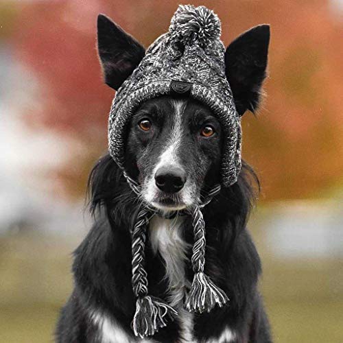 Wanghuaner Sombrero de perro caliente del invierno a prueba de viento de la bola hinchada del animal doméstico Headgear francés Bulldog Headgear