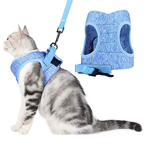 WD&CD Arnés para Gato, Antiescape y Ajustable Arnés Gato Transpirable para Correr, Entrenamiento, Gatos Pequeños y Medianos, Gatos Bebes para Caminar con Gatito, Azul, M