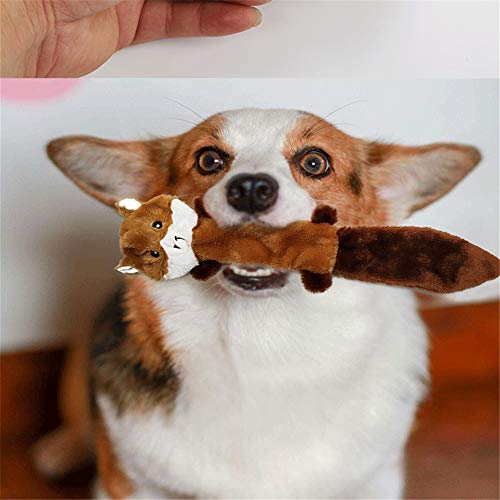 WElerj Mordedor Perro Juguetes Perro Cepillo Dientes Perro Juguetes para Perros Grandes Peluche Mapache Ardilla Juguetes Interactivos para Perros For Juegos Perros Brown